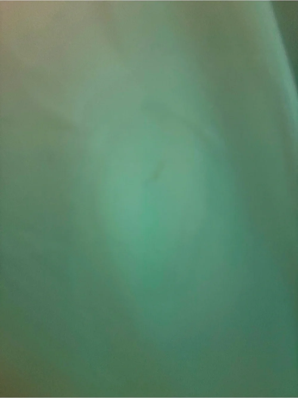 Rachel Allan Perfect Angels Girls Size 12 Green/Teal Embellished Pageant Dress